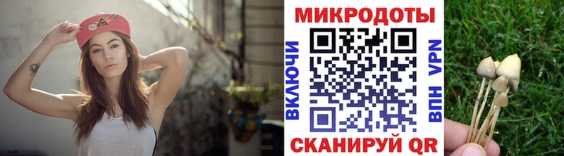 Галлюциногенные грибы мицелий  Дальнереченск 