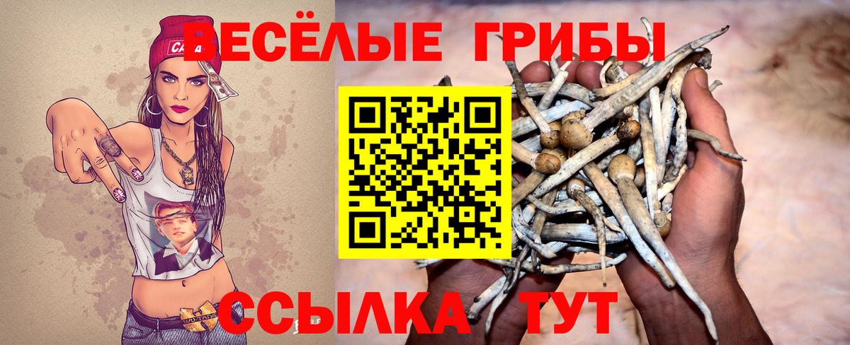 Псилоцибиновые грибы мицелий  Дальнереченск 