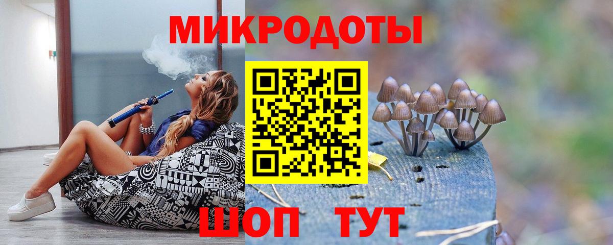 Галлюциногенные грибы Psilocybe Дальнереченск
