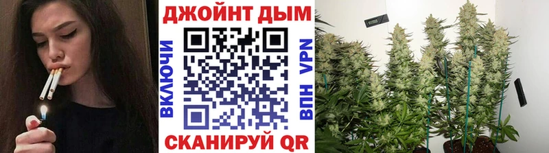 Шишки марихуана MAZAR  Дальнереченск 